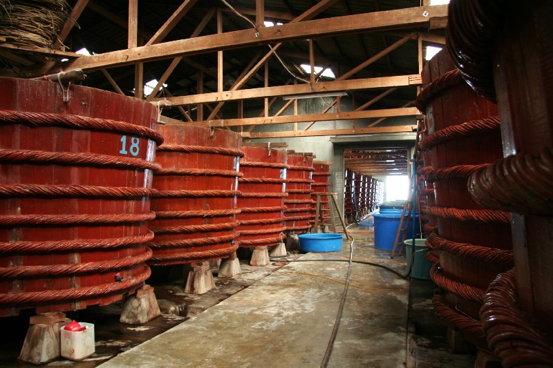 Large wooden fermentation barrels inside a fish-sauce production building on Phú Quốc.